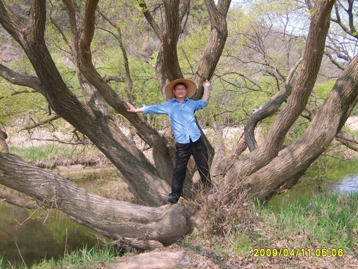 노봉호 단우(왕버드나무